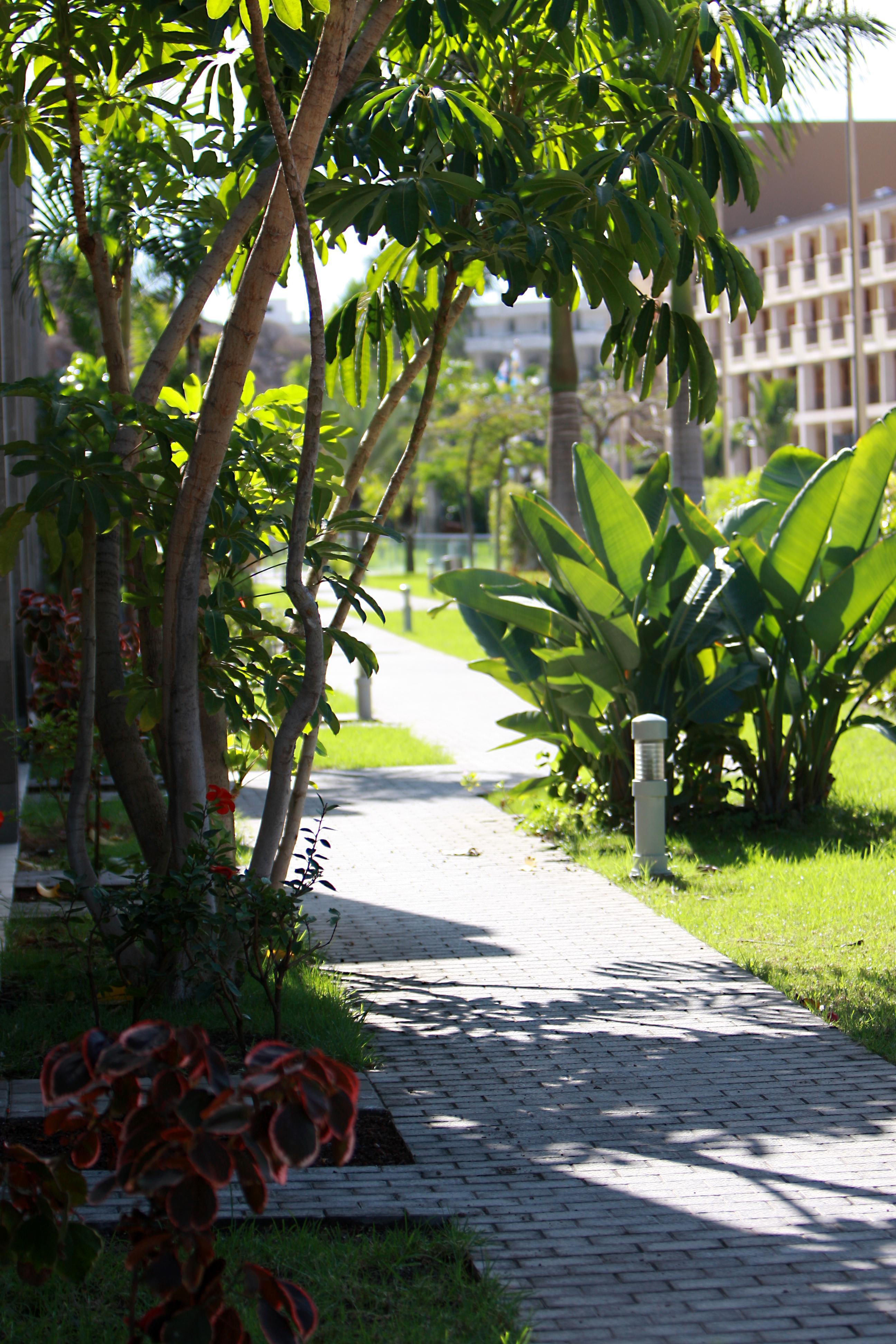 Hotel Livvo Costa Taurito & Aquapark (Adults Only) Luaran gambar